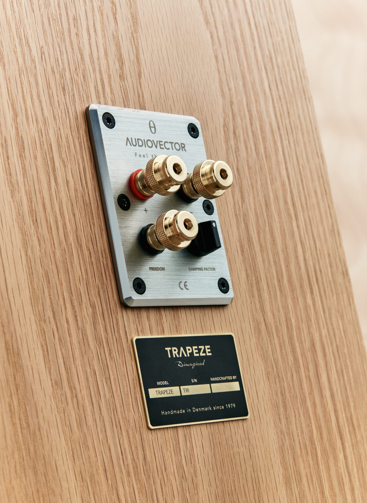 Audiovector Trapeze Ri